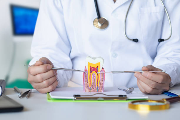 Best Dentist for Tooth Abscess  in Lomira, WI